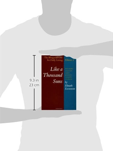 Like a Thousand Suns: The Bhagavad Gita for Daily Living, Volume 2 (The Bhagavad Gita for Daily Living, Vol. 2)