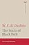 The Souls of Black Folk (The Norton Library)