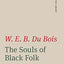 The Souls of Black Folk (The Norton Library)