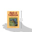 Birds of California Field Guide (Bird Identification Guides)
