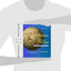 Politics Among Nations by Morgenthau, Hans