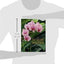 The Orchid Whisperer: Expert Secrets for Growing Beautiful Orchids (-)