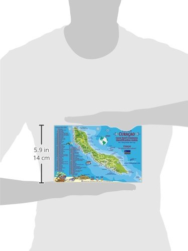 Curacao Dive Map & Reef Creatures Guide Franko Maps Laminated Fish Card