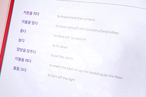 My Daily Routine in Korean