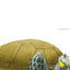 Memoirs of a Tortoise