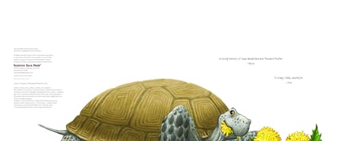 Memoirs of a Tortoise