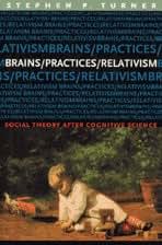 Brains/Practices/Relativism: Social Theory after Cognitive Science