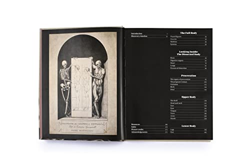 Anatomica: The Exquisite and Unsettling Art of Human Anatomy