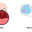 Germ Theory for Babies (Baby University)
