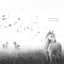 A Horse Named Sky: A Gripping Animal Adventure Survival Story About a Wild Horse Fighting for Freedom (A Voice of the Wilderness Novel)