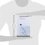 New Economy, New Myth (Routledge Studies in Contemporary Political Economy)