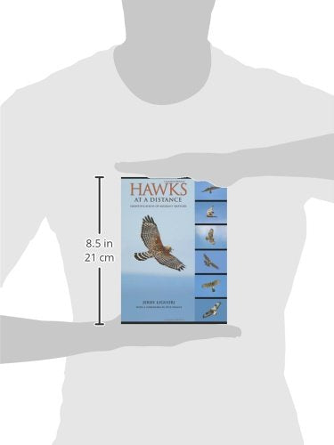 Hawks at a Distance: Identification of Migrant Raptors