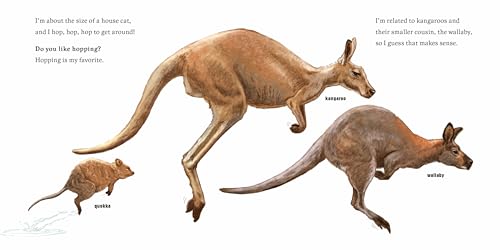 Hello, I'm a Quokka (Meet the Wild Things, Book 3)
