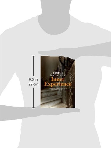 Inner Experience (Intersections Phil Crit Theory)