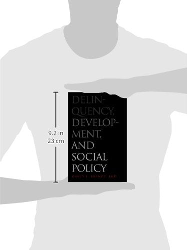 Delinquency, Development, and Social Policy (Current Perspectives in Psychology)