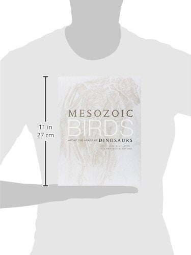 Mesozoic Birds: Above the Heads of Dinosaurs