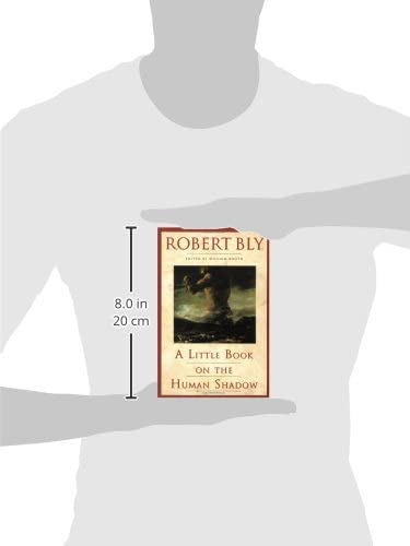 A Little Book on the Human Shadow: A Poetic Journey