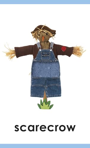 My First Touch and Feel Picture Cards: Farm (My First Board Books)