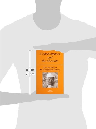 Consciousness and the Absolute: The Final Talks of Sri Nisar