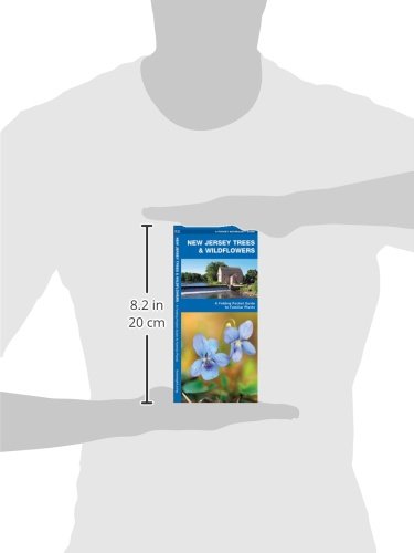 New Jersey Trees & Wildflowers: A Folding Pocket Guide to Familiar Plants (Wildlife and Nature Identification)