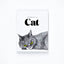 The Book of the Cat: Cats in Art