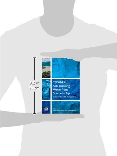 Techneau: Safe Drinking Water from Source to Tap: State-of-art & Perspectives