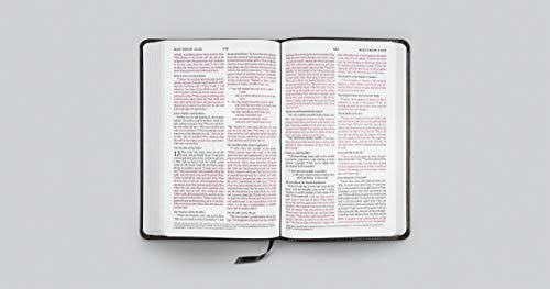 ESV Thinline Bible (TruTone, Charcoal, Crown Design)