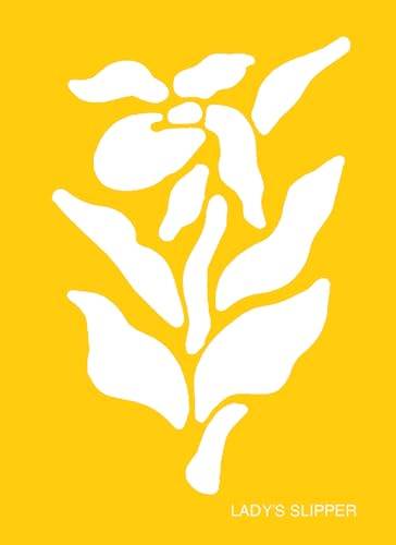 Fun With Wildflowers Stencils (Dover Little Activity Books: Flowers)