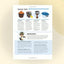 Roblox Top Adventure Games