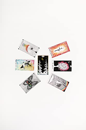 The Wild Unknown Pocket Tarot
