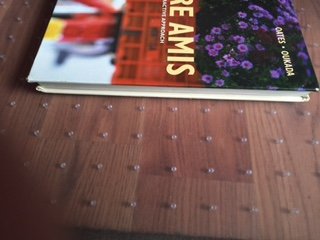 Entre Amis: An Interactive Approach, 5th Edition