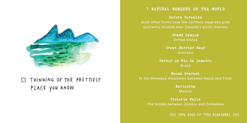 The Tiny Book of Tiny Pleasures (Flow)