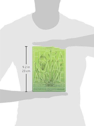 New England Wild Flower Society's Flora Novae Angliae: A Manual for the Identification of Native and Naturalized Higher Vascular Plants of New England