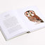 Owls: Our Most Charming Bird