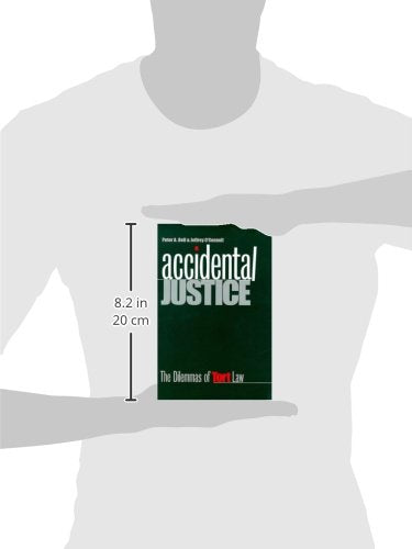 Accidental Justice: The Dilemmas of Tort Law (Yale Contemporary Law Series)
