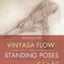 Yoga Mat Companion 1: Anatomy for Vinyasa Flow and Standing Poses