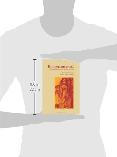 Buddhadhamma (Suny Series in Buddhist Studies)