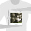 Research Methods for Generalist Social Work