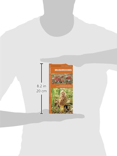 Mushrooms: A Folding Pocket Guide to Familiar North American