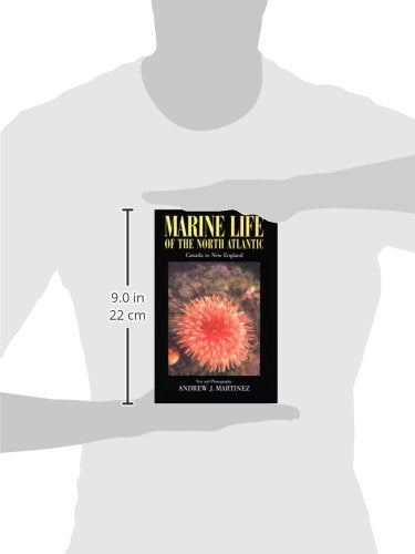 Marine Life of the North Atlantic : Canada to New England 2n Ed.