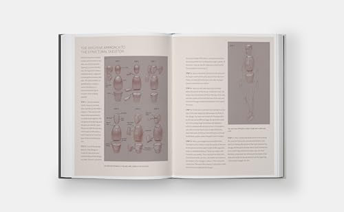 Basic Human Anatomy: An Essential Visual Guide for Artists