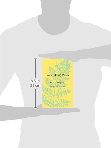 How To Identify Plants