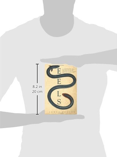 Eels: An Exploration, from New Zealand to the Sargasso