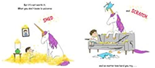 You Don't Want a Unicorn!