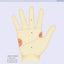 The Palmistry Bible: The Definitive Guide to Hand Reading (V