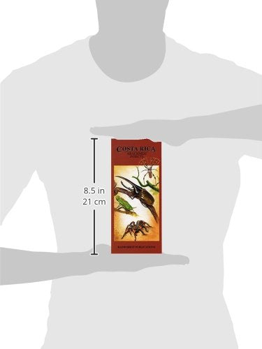Costa Rica Arachnids & Insects Wildlife Guide (Laminated Foldout Pocket Field Guide) (English and Spanish Edition)