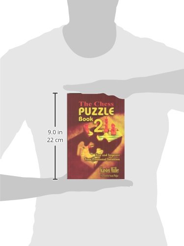 The Chess Puzzle Book 2: Test and Improve Your Positional Intuition (Chesscafe Puzzle Book)