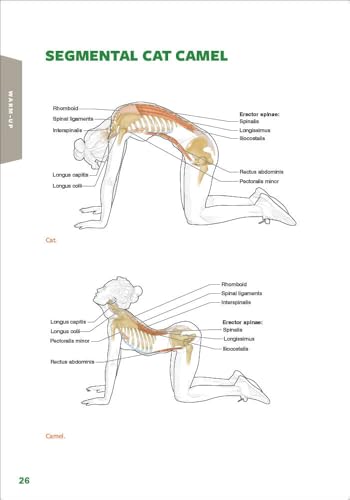 Golf Anatomy