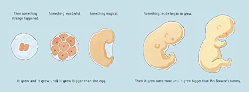 Where Willy Went...: The Big Story of a Little Sperm!