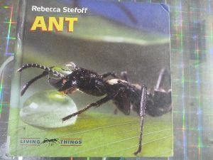 Ant (Living Things)